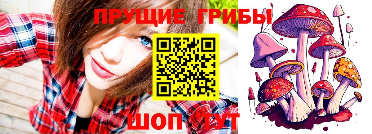 Псилоцибиновые грибы MAGIC MUSHROOMS  Вход с VPN  Муравленко  Галлюциногенные грибы мухоморы 